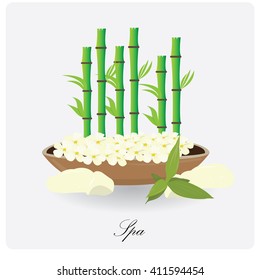 Isolated group of flowers on a pot and some bamboo sticks on a white background