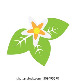 Isolated group of leaves and a flower, Spa vector illustration