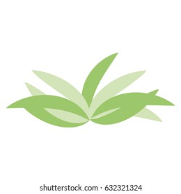 Isolated group of leaves on a white background, Vector illustration