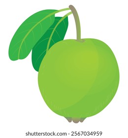 isolated guava on white background vector design