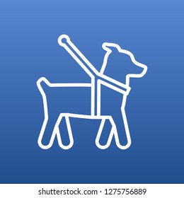 Isolated guide dog icon line symbol on clean background. Vector pet element in trendy style.