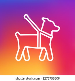 Isolated guide dog icon line symbol on clean background. Vector pet element in trendy style.
