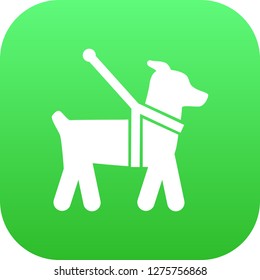 Isolated guide dog icon symbol on clean background. Vector pet element in trendy style.