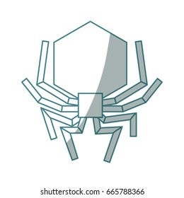 isolated hacker virus spider