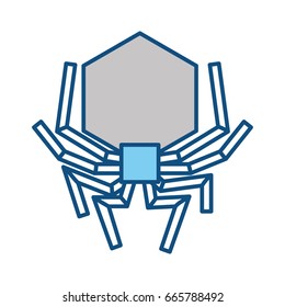 isolated hacker virus spider
