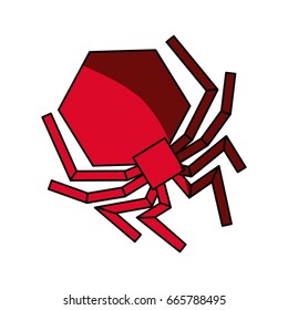 isolated hacker virus spider