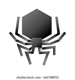 isolated hacker virus spider