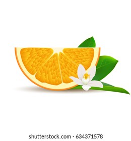 Isolated half of circle juicy orange with white flower, green leaf and shadow on white background. Realistic colored slice