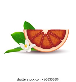 Isolated half of circle juicy red bloody orange with white flower, green leaf and shadow on white background. Realistic colored slice.