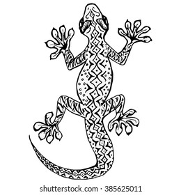 Isolated hand drawn asian gecko 