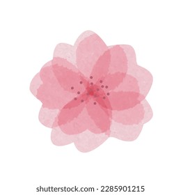 Isolated hand drawn beautiful watercolor sakura flower with messy transparent petals, soft cherry blossom with paper texture. Vector illustration EPS 10
