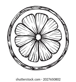isolated hand drawn black outline of lemon or orange slices