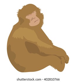 Isolated and hand drawn brown Barbary Macaque (or Macaca Sylvanus, Barbary ape, Magot) cartoon character on white background. Sleeping and sitting monkey - Eps 10 Vector graphics and illustration