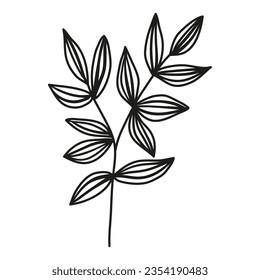 Isolated hand drawn doodle branch with striped leaves. Flat vector illustration on white background.