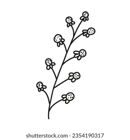 Isolated hand drawn doodle line simple flower. Flat vector illustration on white background.