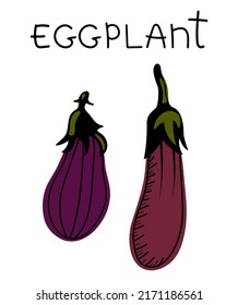 Isolated hand drawn eggplant on a white background. Vector illustration of eggplant vegetables. Healthy food, vegetables