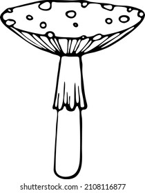 isolated hand drawn graphic outline element: fly agaric mushroom