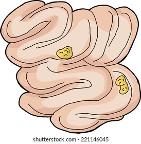 Isolated hand drawn human small intestine with food pieces