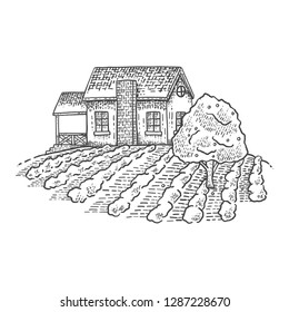 Isolated hand drawn illustration of farm house. Isolated on white background.
