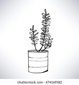Isolated hand drawn line art of a potted plant