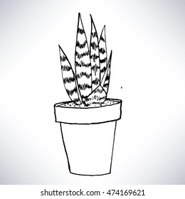 Isolated hand drawn line art of a potted plant