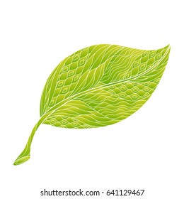 Isolated hand drawn outline coloured ornate green yellow leaf on white background. Ornament of curve lines.