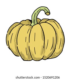 isolated hand drawn pumpkin vector illustration