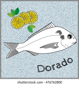 Isolated hand drawn seafood image with lemon slices. Vector illustration of dorado fish. Menu, poster, label etc. Hand drawn ink sketch illustration. EPS 8