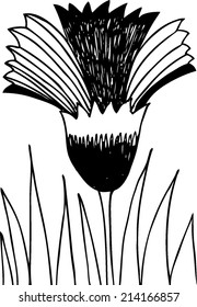 Isolated hand drawn vector cornflower.