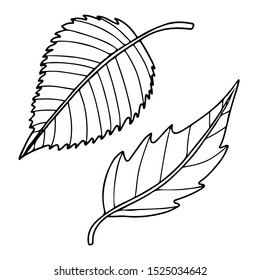 Isolated hand drawn vector doodle autumn leaves icons. Autunm line sketch illustration. 