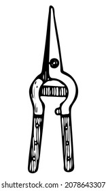 isolated hand drawn vector element in doodle style with cute gardening scissors. good for print, tattoo, design, packaging, gift wrapping paper and presentation, post cards, invitation