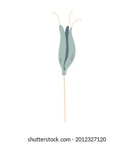 Isolated hand drawn vector flower for decoration, nursery, children illustration, gentle colours