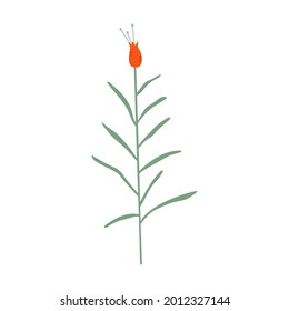 Isolated hand drawn vector flower for decoration, nursery, children illustration, gentle colours