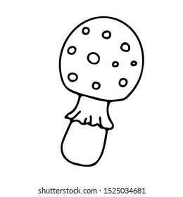 Isolated hand drawn vector fly agaric mushroom.  Line sketch amanita element. 