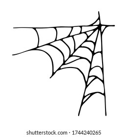 Isolated hand drawn vector illustration of cobweb in doodle style. Halloween's element for festival  design, invitation, greeting card, poster.