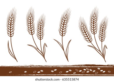 isolated hand drawn wheat ears silhouettes with grain