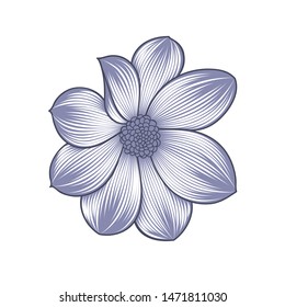 Flor de dalia aislada dibujada a mano. Elemento vectorial para el diseño.