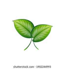Isolated hand-drawn green tropic leaves.