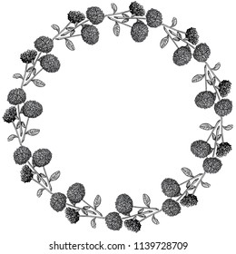 Isolated hand-drawn vector black and white daisy wreath sketch