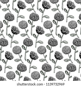 Isolated hand-drawn vector daisy seamless pattern