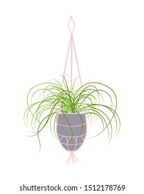 Isolated hanging detailed planter made of cotton cord, potted plants for Indoor and outdoor or office, landscape garden.Cartoon flat vector illustration  isolated on white background.
