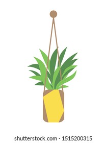 Isolated hanging detailed planter made of cotton cord, potted plants for Indoor and outdoor or office, landscape garden.Cartoon flat vector illustration  isolated on white background.
