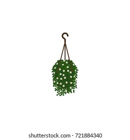Isolated Hanging Isometric. Blossom Vector Element Can Be Used For Blossom, Hanging, Flower Design Concept.