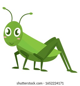 4,739 Cricket bug vector Images, Stock Photos & Vectors | Shutterstock