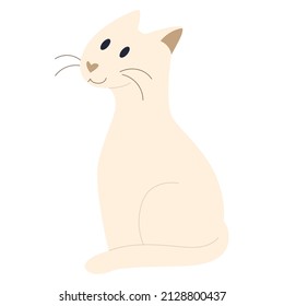 Isolated happy cute cat Domestic animal Vector