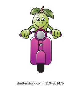isolated happy guava vector cartoon or mascot riding scooter happily