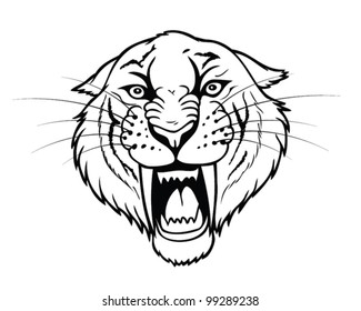 Isolated head of saber tooth tiger - vector