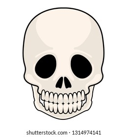Isolated head skull image. Vector illustration design