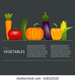 Isolated healthy vegetables can be used in restaurant menu, cooking books and organic farm labels. Quality vector illustration about diet, eco green food.