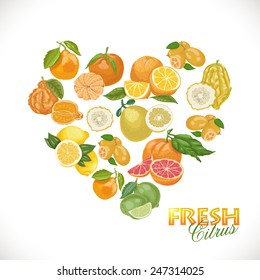 Isolated heart of citrus on a white background. Vector illustration for your design